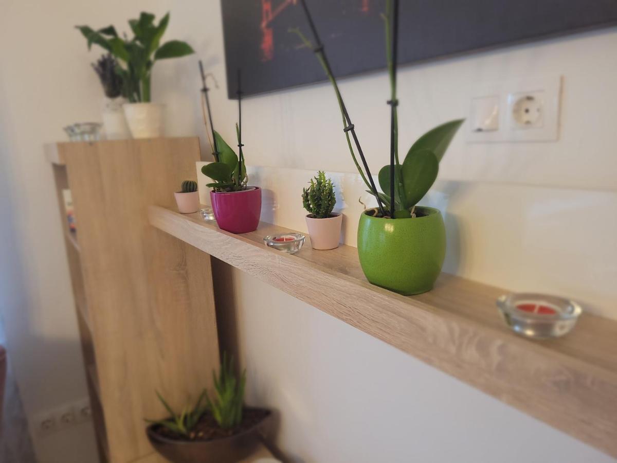 Rose Apartment 佩奇 外观 照片